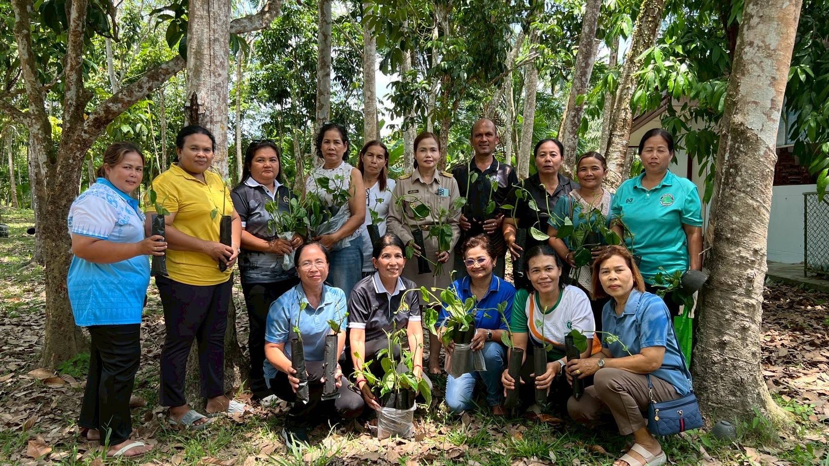 พช.เมืองพัทลุง สนับสนุนการฝึกอาชีพสตรี งบอุดหนุน โครงการปลูกพลูเพื่อการเรียนรู้ สู่อาชีพเสริมโดยคณะกรรมการพัฒนาสตรีตำบลโคกชะงาย