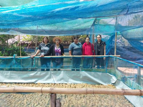 พช.เมืองพัทลุง ขับเคลื่อนงานกองทุนพัฒนาบทบาทสตรี